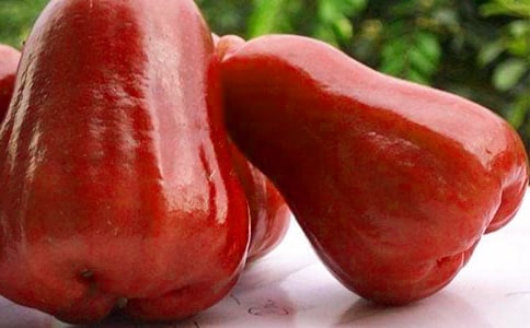 ����������߅ɏ�F��ԭ�����p