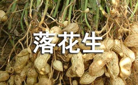 落花生的詞語(yǔ)解析
