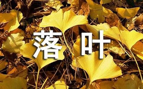和落葉有關(guān)的經(jīng)典散文