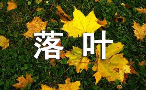 落葉的啟示作文(12篇)