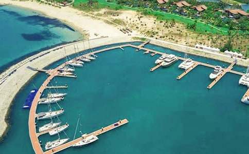 �a�^����500��4ƪ