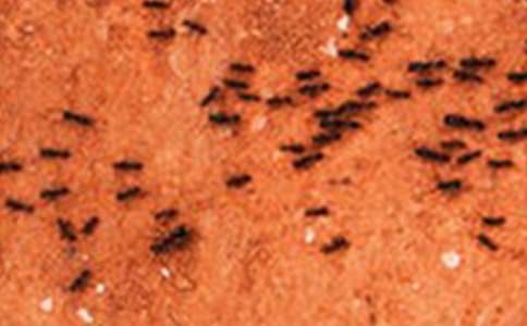 Λρ ��ʾ����