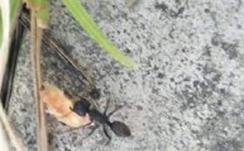 ��ʾ����Λρ�o�ҵĆ�ʾ