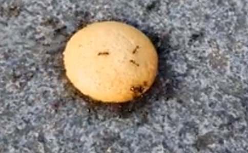 Λρ�Ć�ʾ����