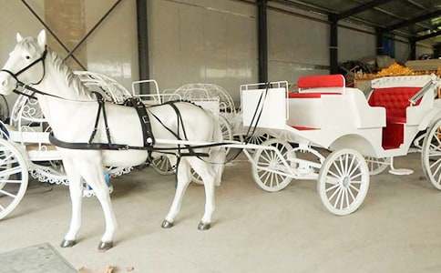 《馬車夫彼得》閱讀答案