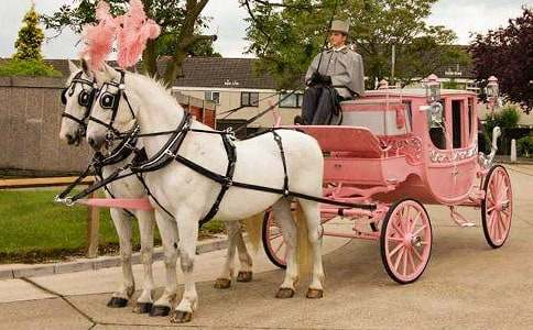 我的寶馬車作文