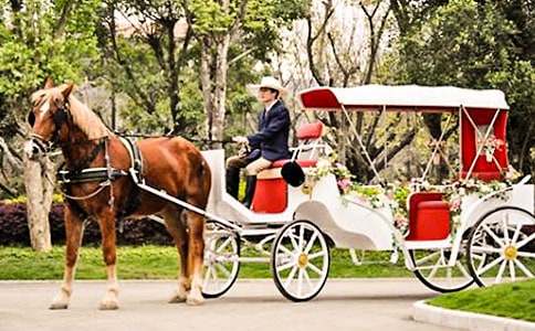 �����ǝ�s�r(sh��)����R܇����