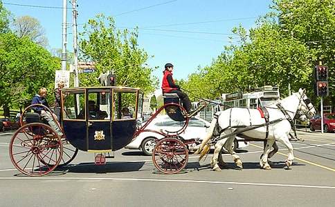 馬車上的春姑娘五年級作文500字
