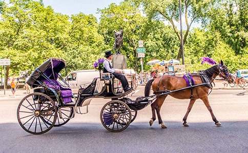 空馬車,半壺水高中作文