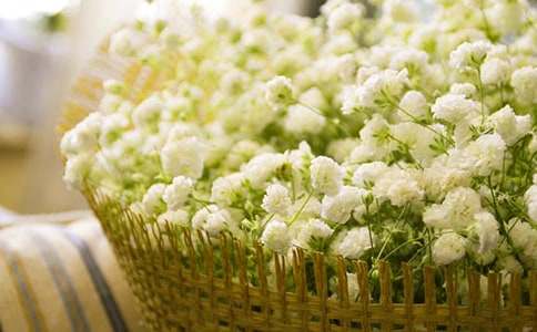 ����M���ǹ�����