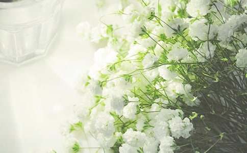 滿天星的經(jīng)典句子