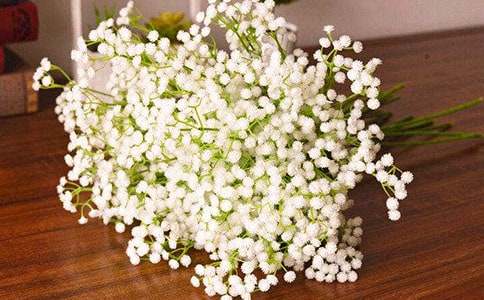 巷子里滿天星充滿了甜作文600字