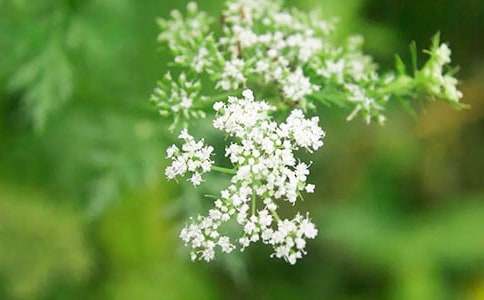 �M���ǵĻ��Z��ʲô8ƪ