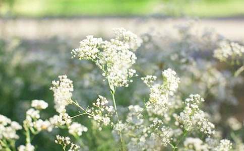 ���ǝM���ǵ�300������