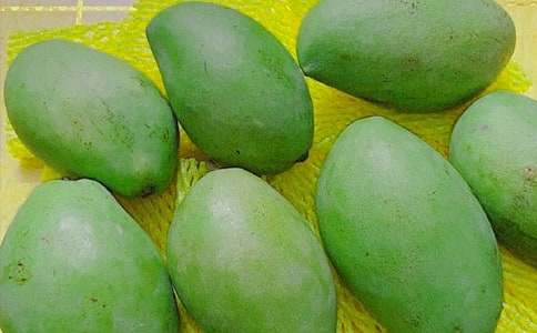 我愛故鄉(xiāng)的芒果作文300字(精選19篇)