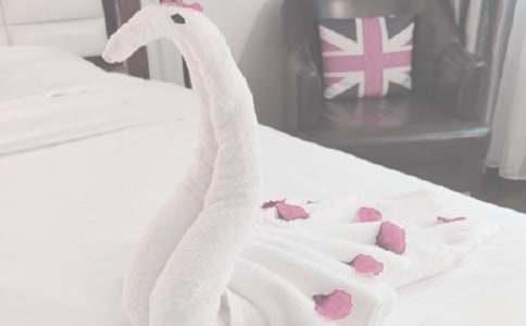 δ����Сë������