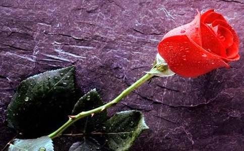 ӛ�����õ�廨����400��