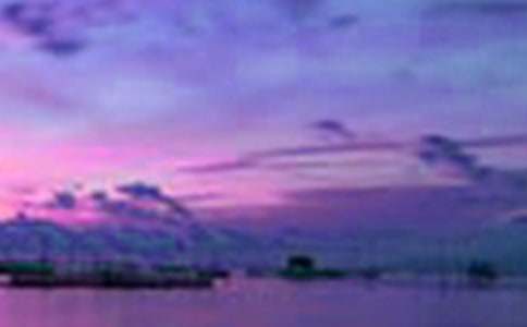 ��������������