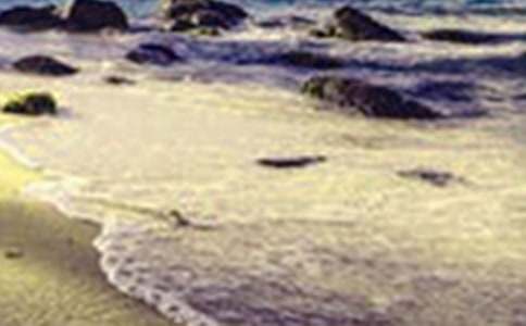 �ķ�ɽ��������