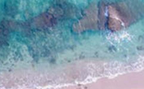 ٝ����������������