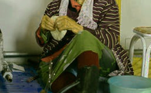 �ɹ�������L(f��ng)����