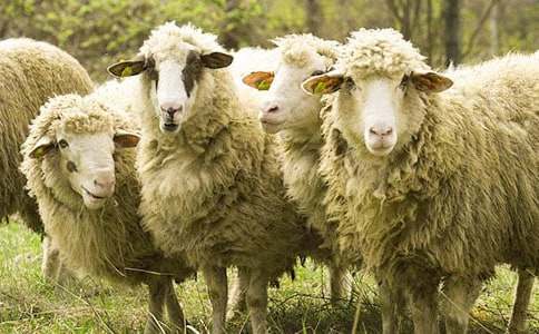 �d���׷��Ԣ��С����