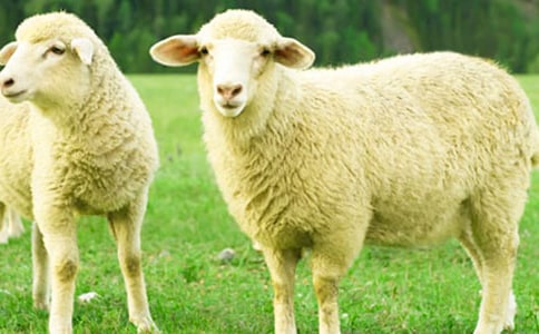 ����С�d������300��