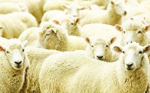 �d���׷������400��