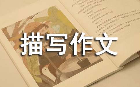 小學(xué)人物描寫(xiě)作文