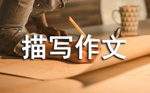 ؈���������c�茑���ģ����x100ƪ��