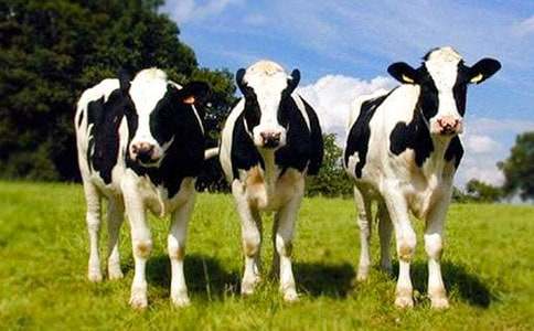 �o˽��I����ţ���ġ�����