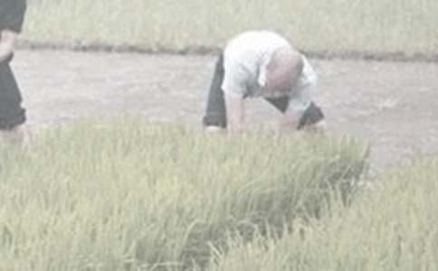 С�W(xu��)���꼉(j��)�W(xu��)�r(n��ng)���(d��ng)����