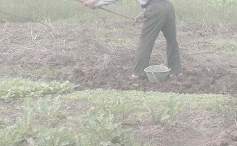 �W�r(n��ng)������ģ�ͨ��30ƪ��