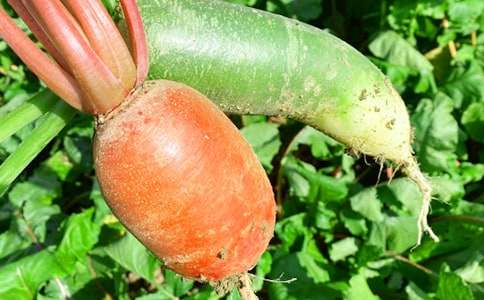 �r(n��ng)�Ҙ�(l��)�߄�����