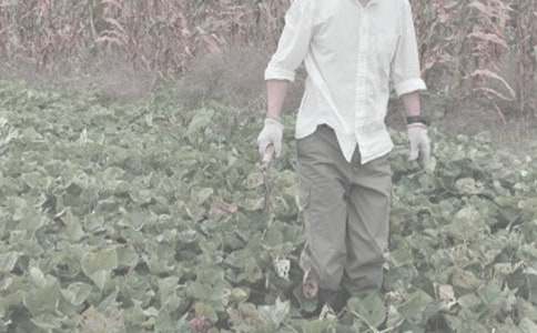 農(nóng)作物種合同匯編10篇