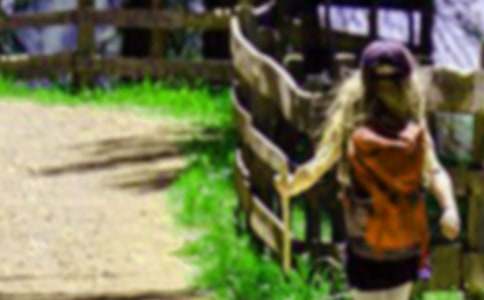 爬山真快樂優(yōu)秀作文