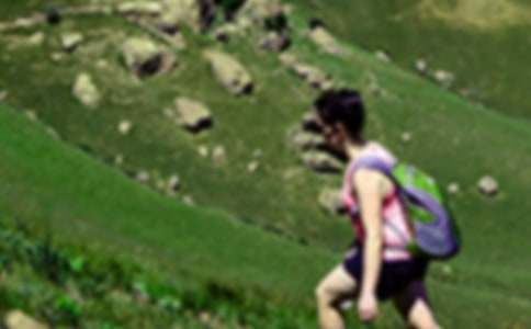 ��ɽȤ������(8ƪ)