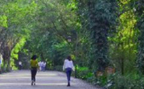 快樂的爬山作文(精選30篇)