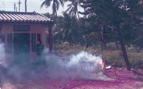 �ş������������