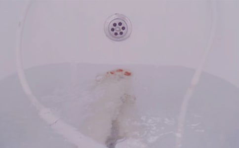 艾葉泡澡度夏天作文