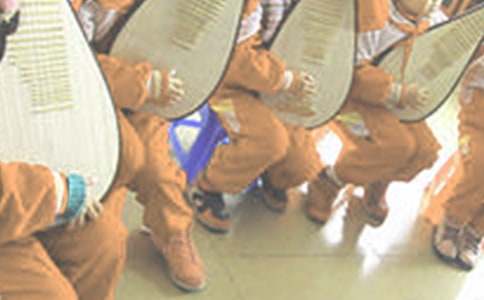 未來的琵琶演奏家作文400字