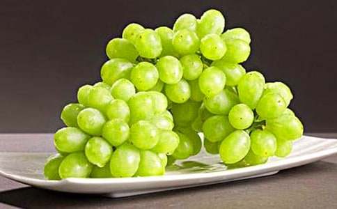 狐貍和葡萄作文(通用25篇)