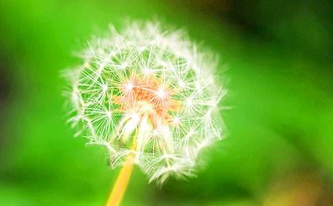 �ѹ�Ӣ�c��؂-Ԓ�}����800��