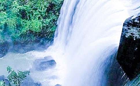 黃果樹瀑布小學作文13篇