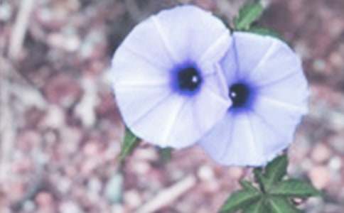 �ְ־�����������