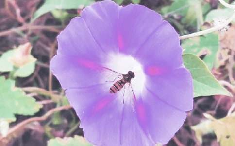 �������ļ������800��