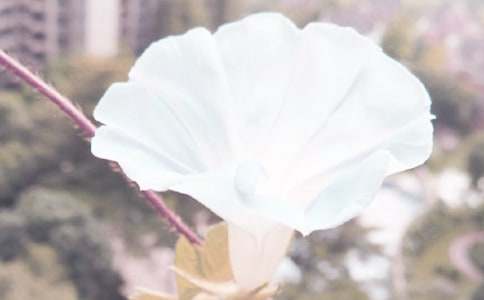 ��ϲ�g������С�W(xu��)������400��