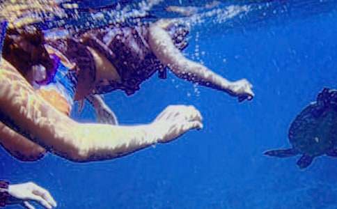 ��ˮ����������