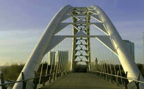 ���������`�Ę�������