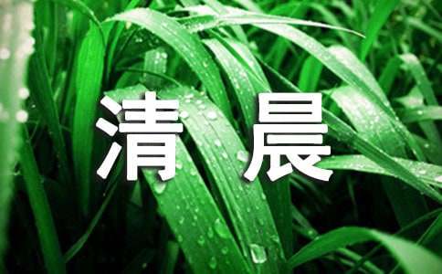 清晨賞霧作文